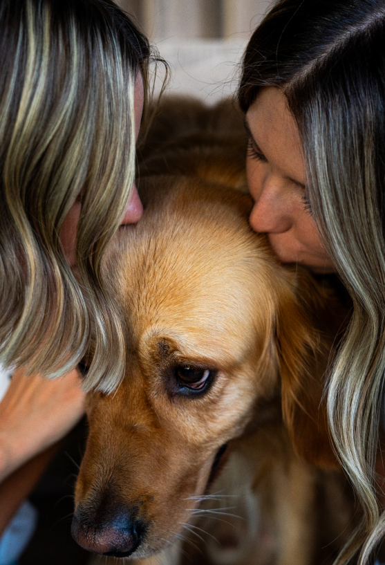 Ohnavet Anseamta Famile