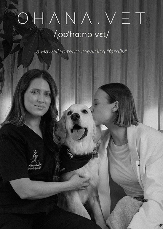 despre noi Ohana Inseamna Familie edit